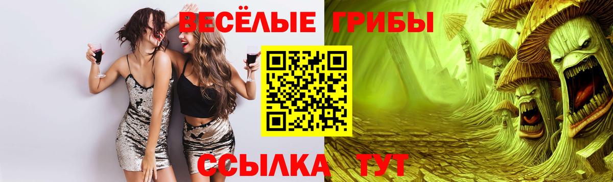 Будённовск  Псилоцибиновые грибы Psilocybine cubensis  Вход с VPN 
