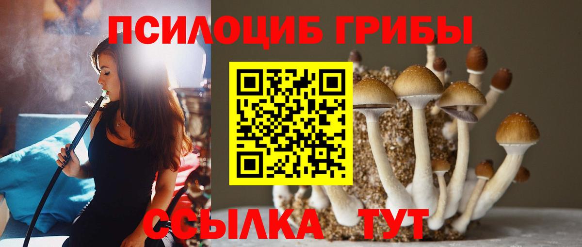 Псилоцибиновые грибы MAGIC MUSHROOMS Будённовск